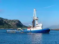 Łódź holownicza na sprzedaż