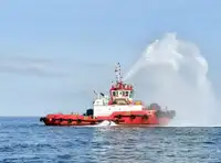 Łódź holownicza na sprzedaż