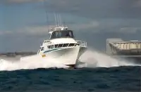 Łodzie robocze na sprzedaż